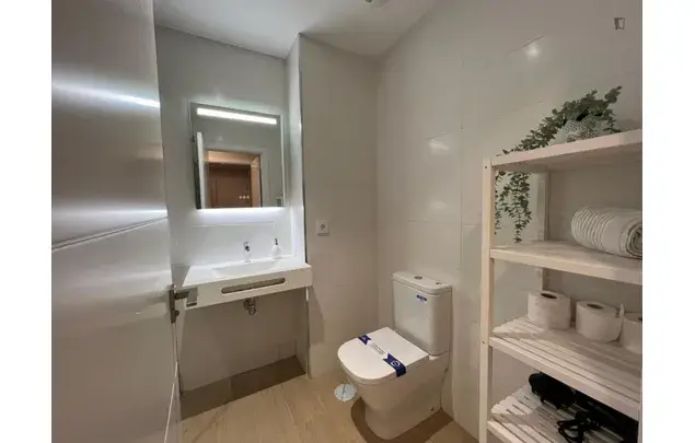 Alquiler Apartamento 1 Dormitorio Malaga Centro Playa