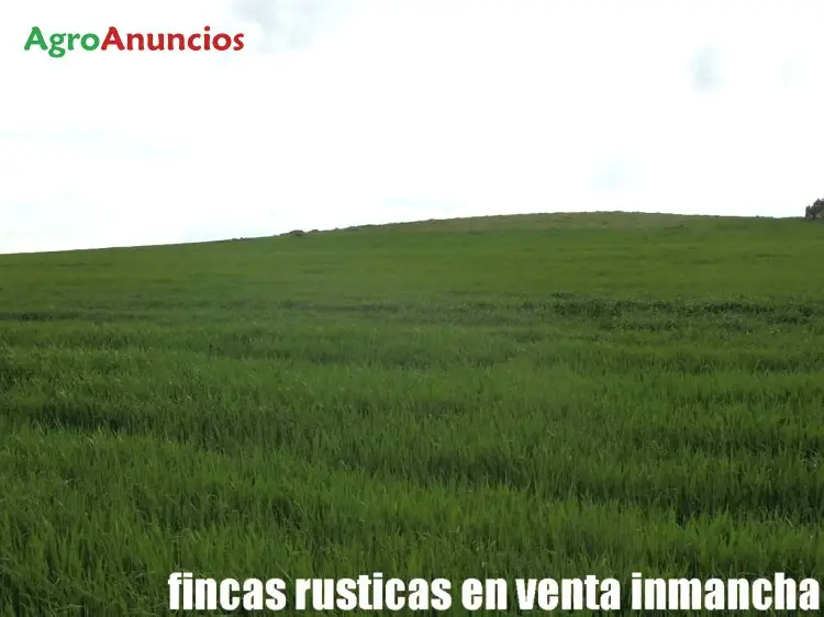 Finca Rustica en Venta Ciudad Real 10 Hectareas