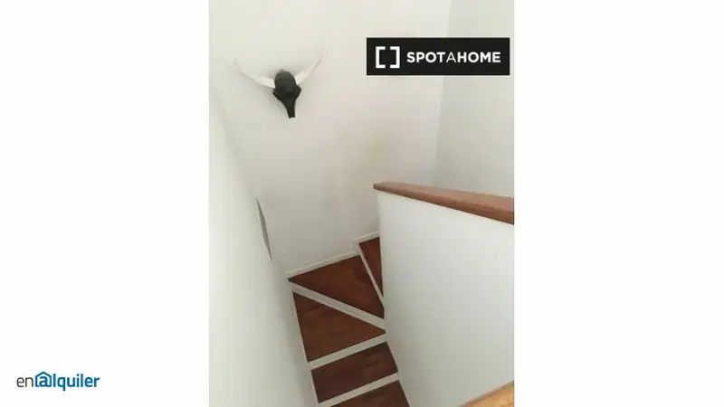 Apartamento 3 Dormitorios Canillas Mascotas Amueblado