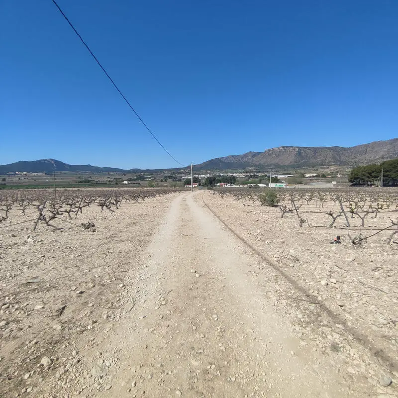 Terrenos en Venta Salinas Alicante