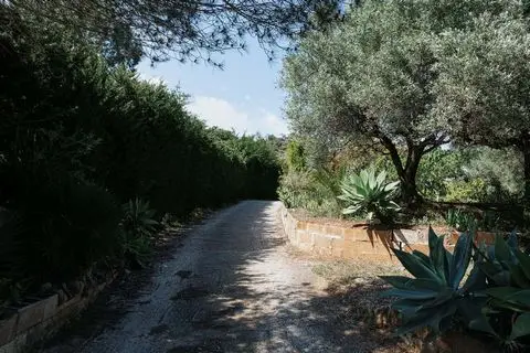 Casa Rustica en Venta: Amplia Parcela y Jardín