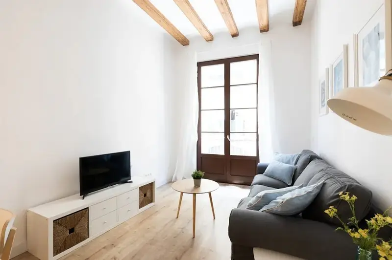 Apartamento 1 Dormitorio Barcelona Alquiler