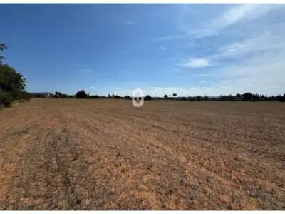 Terreno en Venta 15000m2 Secano Ctra El Provencio