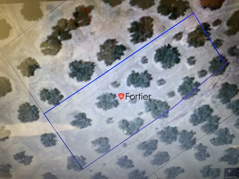 Venta Finca Olivar Los Barreros Martos Subvencionada