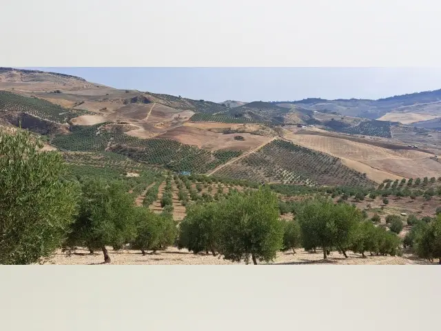 Terreno en venta Ronda, España