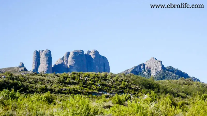 Finca Rustica en Venta Els Ports Tarragona