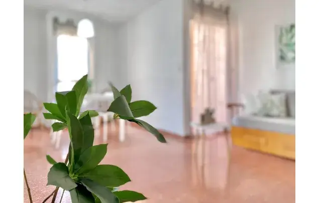 Alquiler Apartamento 2 Dormitorios 63m² La Pobla de Farnals