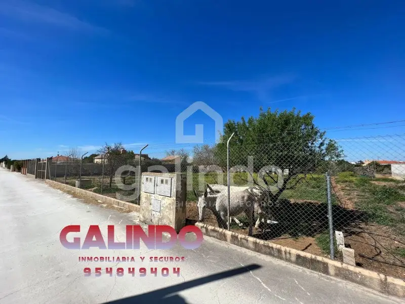 Venta Suelo Rustico en Paradas - Parcela 700m2 - El Calvario