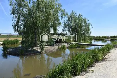 Finca Rústica Delta del Ebro 7741m2 Vivienda 85m2 Piscina Barbacoa
