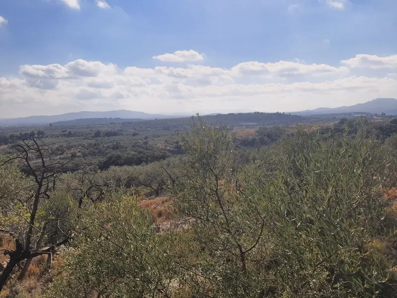Casa Rural en Venta San Rafael del Rio Castellon