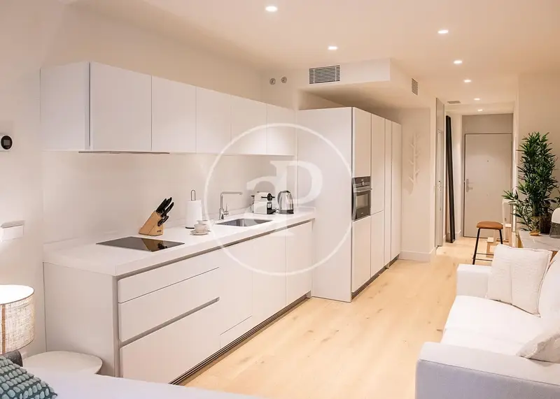 Estudio en Alquiler Goya Madrid Recien Renovado