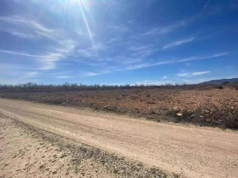 Terreno en Venta Pinoso Alicante 10600m2