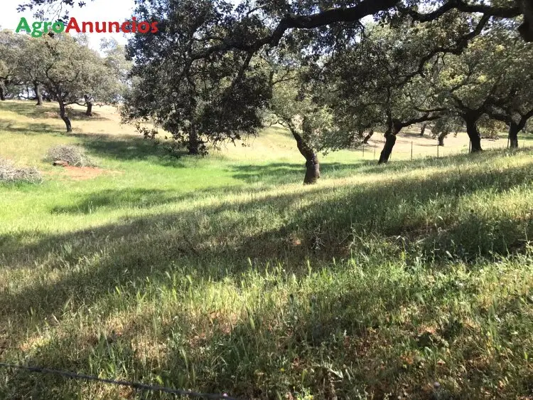 Venta  de Finca de recreo en Huelva