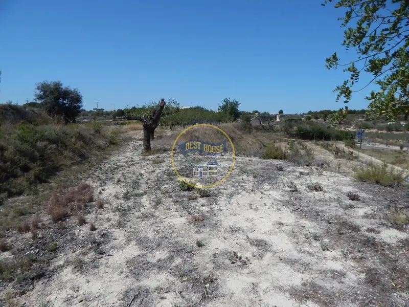 Venta Parcela en Palomar 15180m2 con Vistas a la Montaña