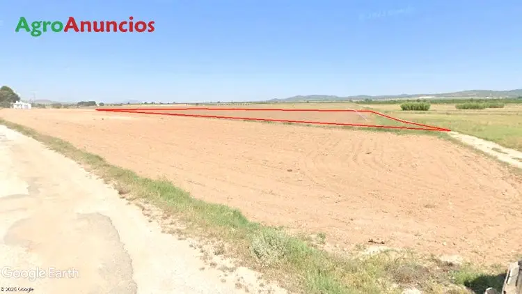 Venta Finca Labor Yecla Murcia 22895m2