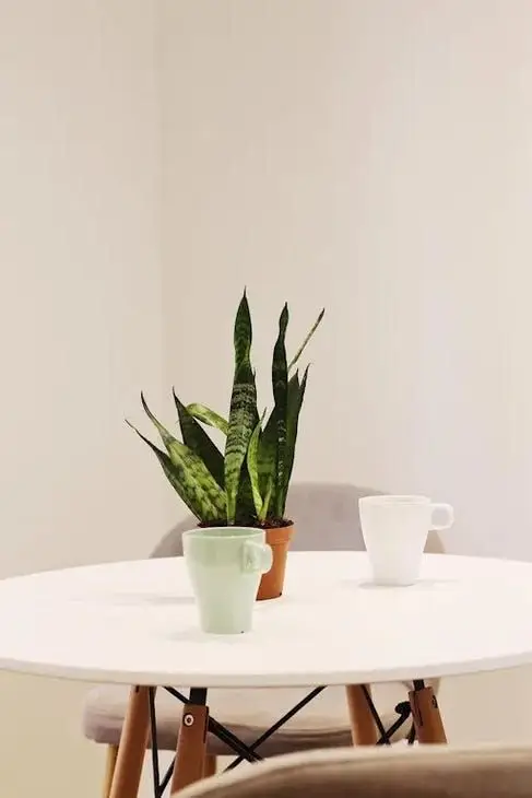 Apartamento 1 Dormitorio Barcelona