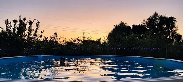 Finca con 2 Viviendas y Cabaña en Orihuela