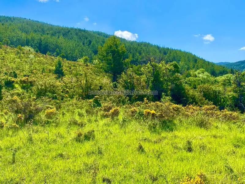 Parcela Rustica en Venta para Hotel en Pirineo Aragonés
