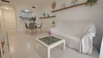 Apartamento en Alquiler Torrevieja Septiembre a Junio
