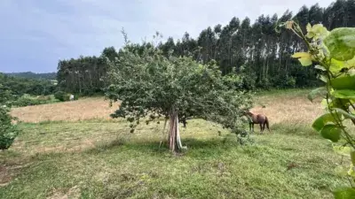 Casa en Gozon Asturias con Piscina y 33000m2 de Terreno