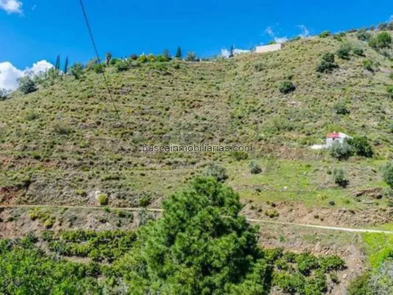 Parcela Rustica en Venta entre Cómpeta y Torrox