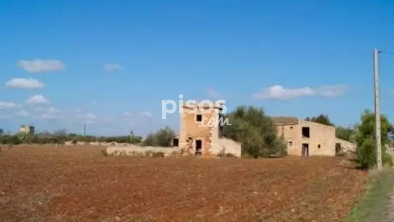 Finca Rustica en Campos con Pozo de Agua y Terreno Grande