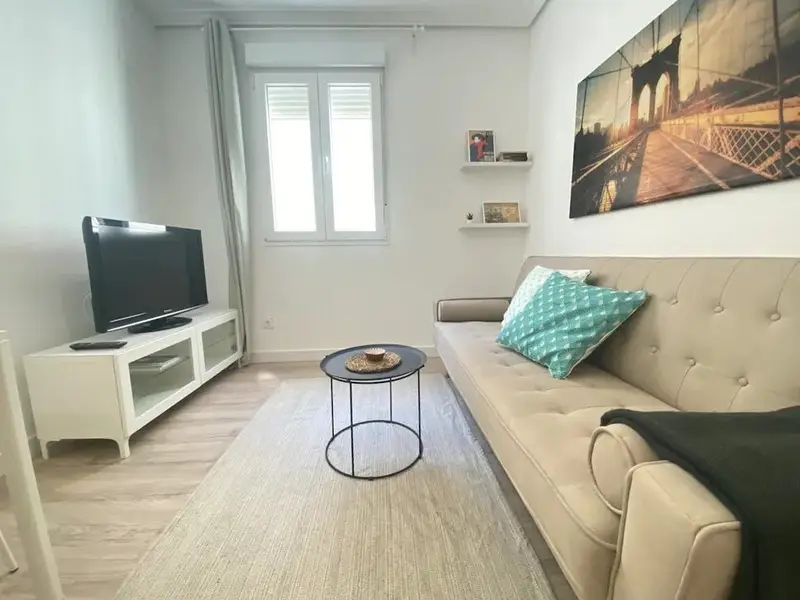 Apartamento 1 Dormitorio Madrid 28013