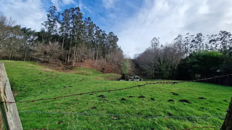 Venta Finca Rustica en Reocin Golbardo