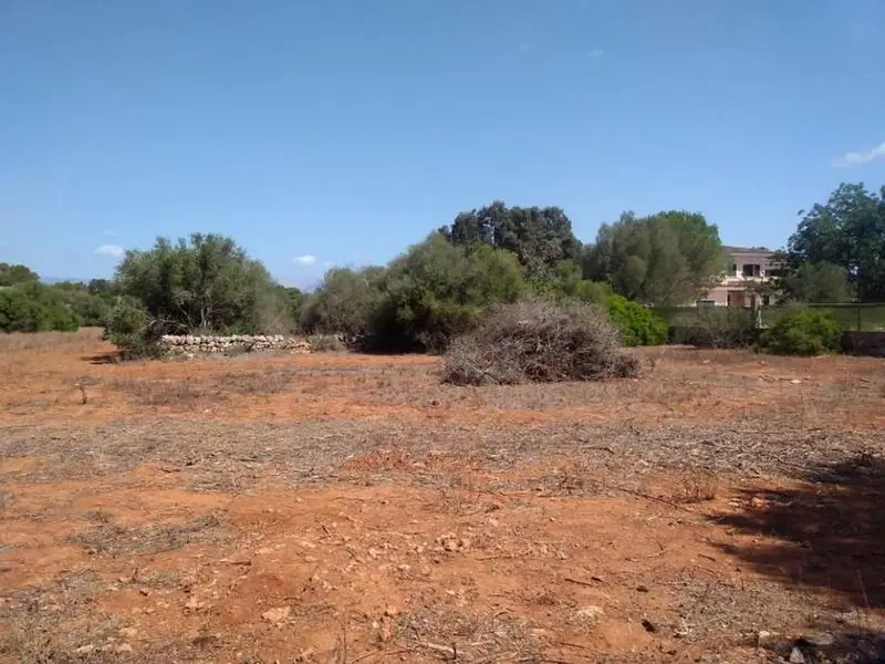 venta Terreno en Algaida, Balears (Illes) (MHU-00055)- Globaliza