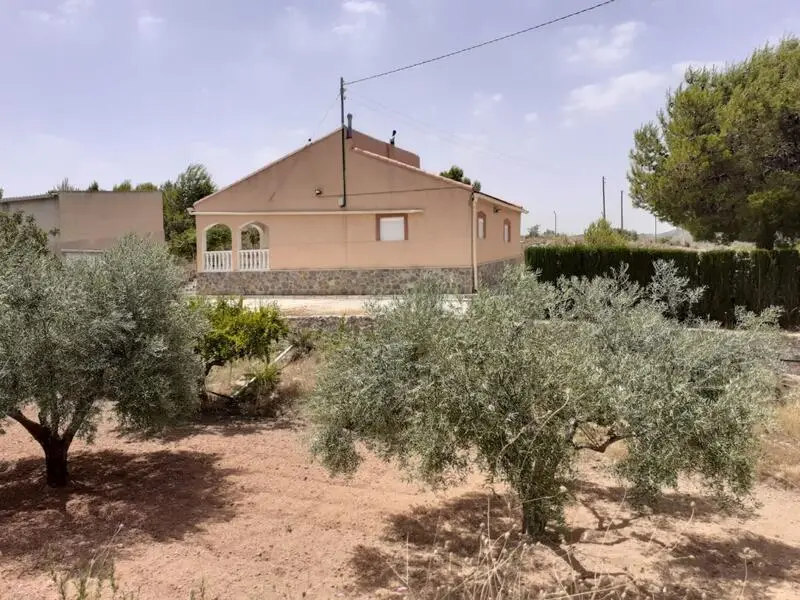 Villa con potencial para negocios y ocio en Monóvar