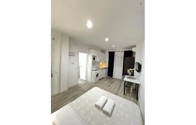 Estudio Moderno Amueblado en Madrid 3-24 Meses