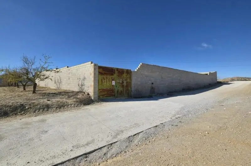 Venta Finca Rustica Padul 3842m2 234m2 Construidos