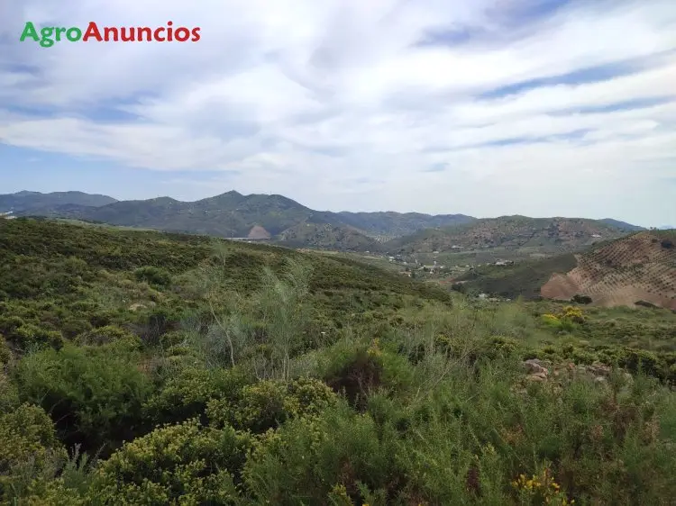 Venta  de Finca rústica en Málaga