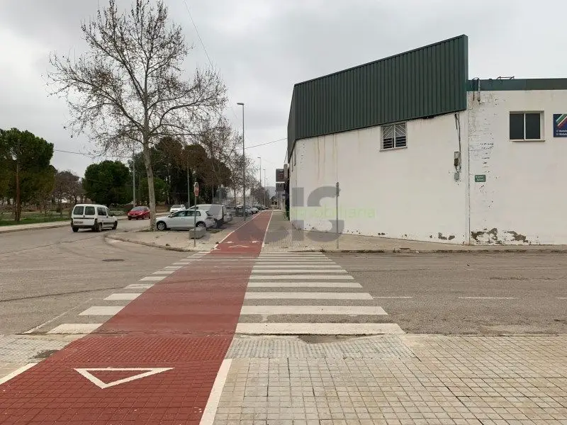 Venta Suelo Industrial Cami Reial La Alcudia