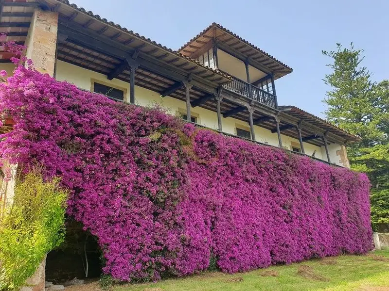 Finca Histórica en Venta Villaviciosa Asturias