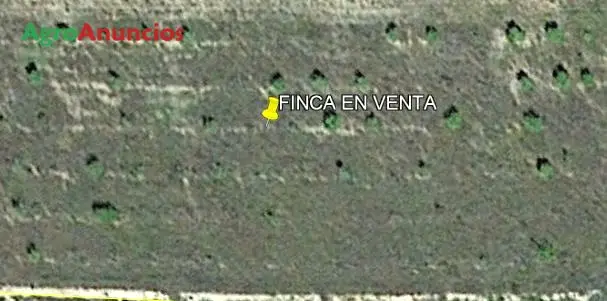 Venta  de Finca de regadío en Valencia