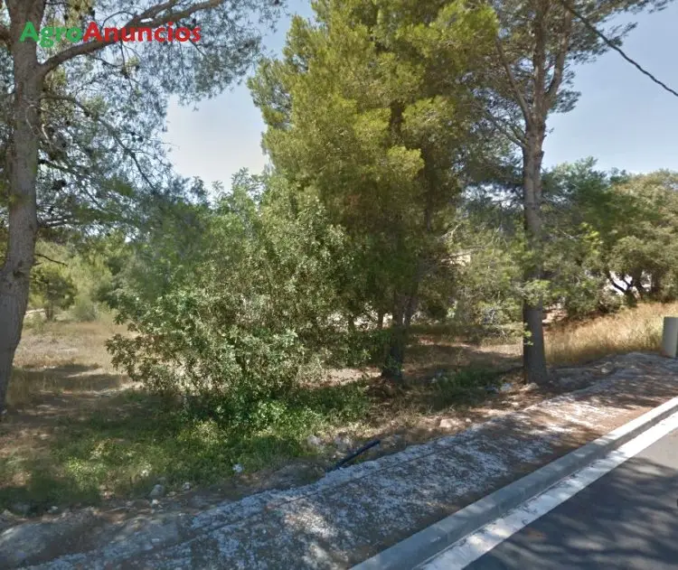 Suelo Urbano Tarragona Vivienda Jardin