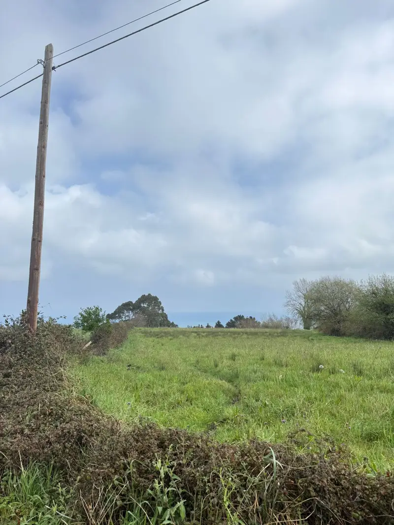 Venta Finca Rustica Quintes Villaviciosa