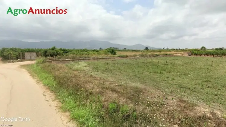 Finca Regadío Sueca Valencia 14477m2 Vivienda