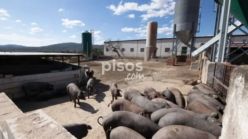 Finca rústica en venta en Cañaveral de Leon