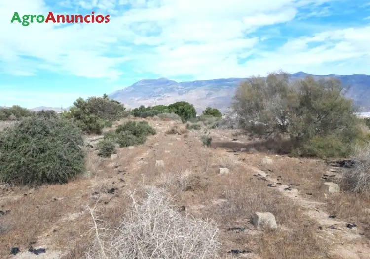 Venta Suelo Urbanizable Residencial Almeria 2727m2