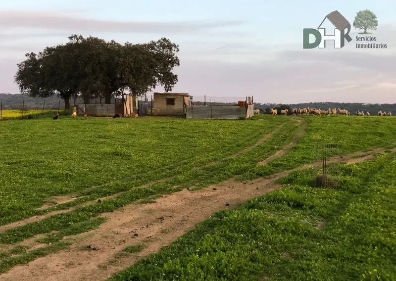 Venta Finca Ganadera Badajoz 3 Hectareas