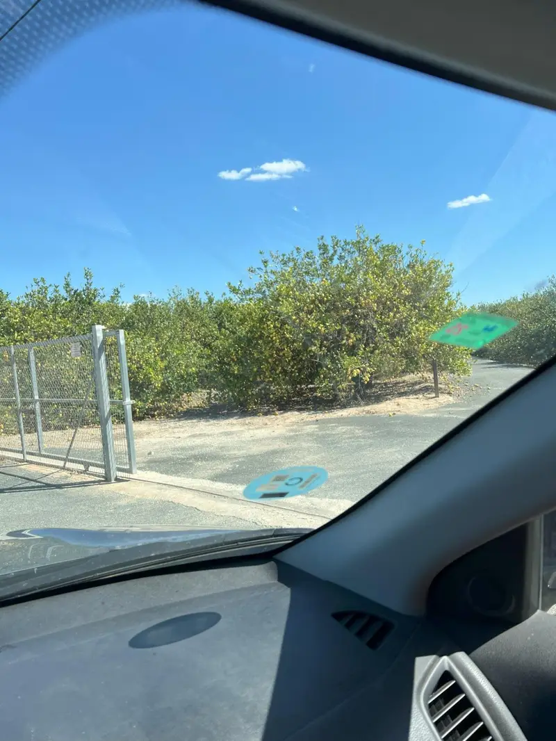 Terreno en Venta Los Montesinos Alicante
