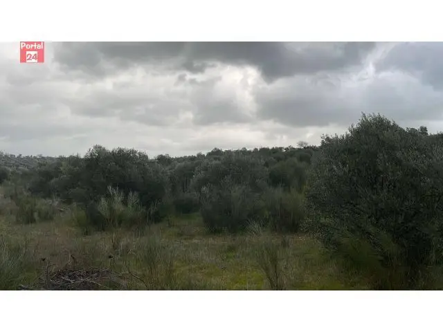 Parcela en Campo Maior cerca de Badajoz