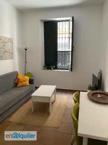 Alquiler Piso Reformado Centro Feria 1 Dormitorio Aire Acondicionado
