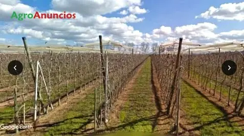 Venta  de Finca de regadío, frutales en espaldera en Lleida