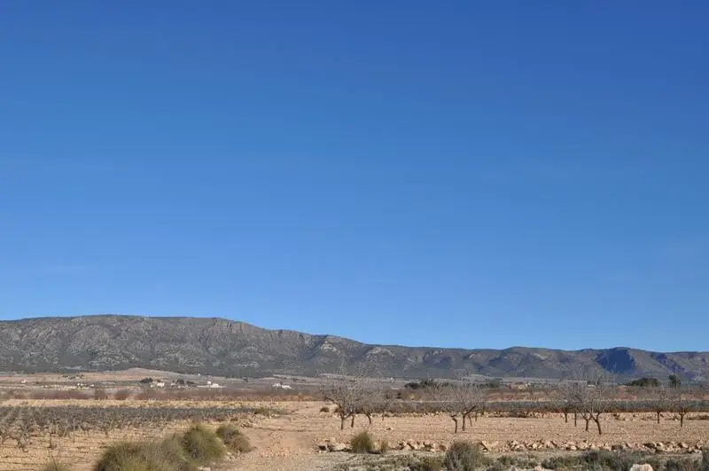 Terreno en Venta Pinoso Alicante 2530m2