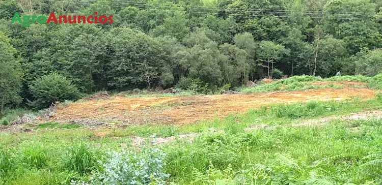 Alquiler  de Finca rústica en Cantabria