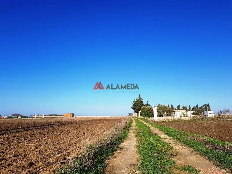 venta Terreno en Chiclana de La Frontera, Cádiz Provincia (24A34)- Globaliza