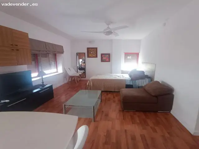 Estudio Reformado Centro Alcoy